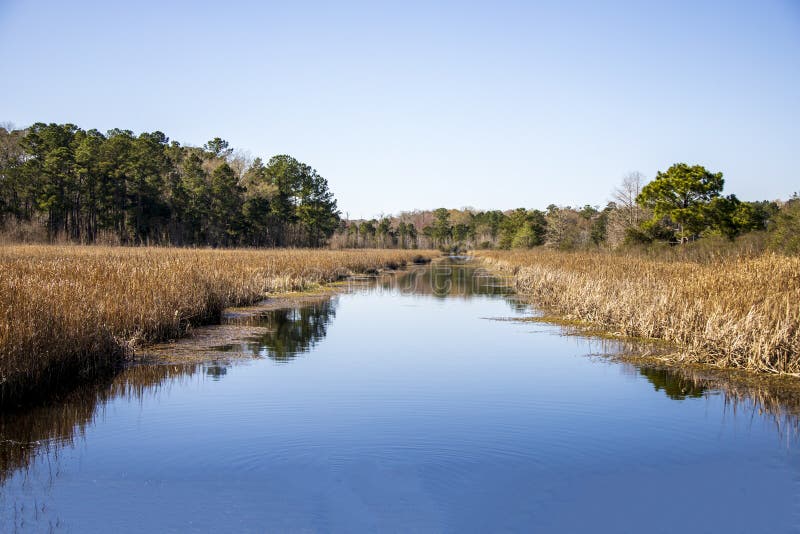 Escape to Serenity: Exploring the Wonders of East River Marsh Wildlife Management Area