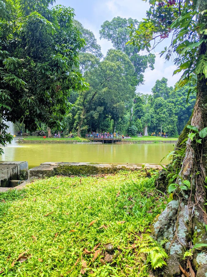 River at the Middle of a Nature Park Scenery Stock Photo Image of