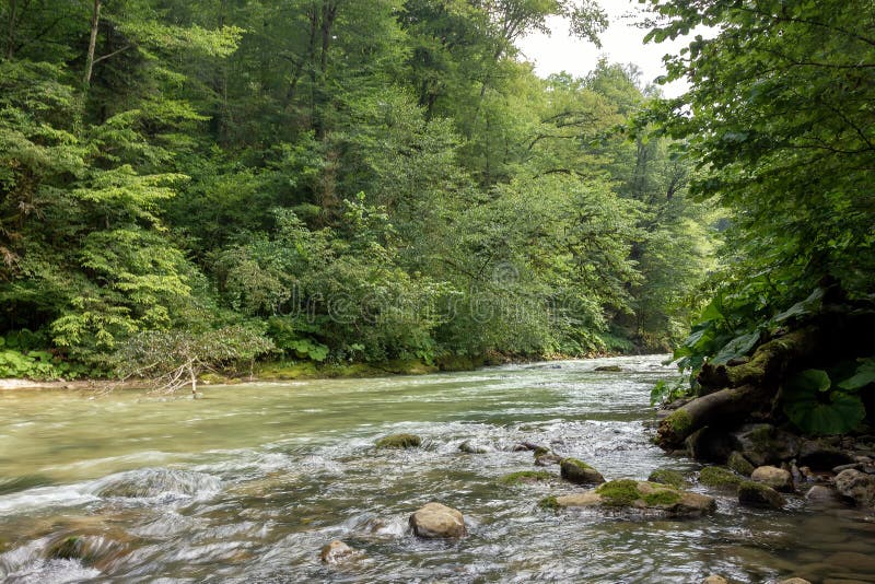Mountain Rivers Sources of Clean Water Originating from Glaciers. Stock Image Image of flow