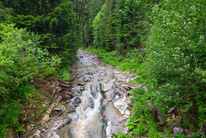 River in the Mountains. River in the Middle of the Forest Stock Photo