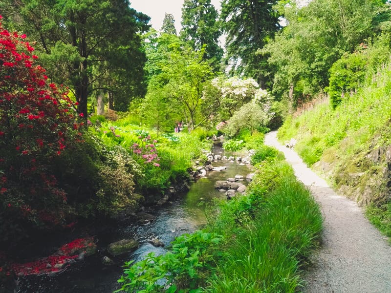 River Plants and Flowers in a Garden Stock Image Image of greenery
