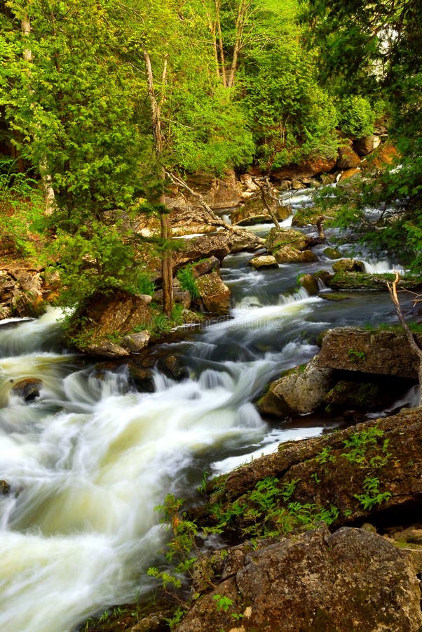 River Rapids Stock Photo Image Of Clean Fresh River 4119448
