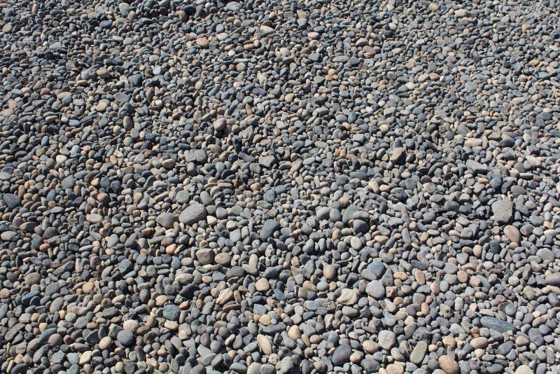 River Rock Gravel Bed Royalty Free Stock Images Image 24125639