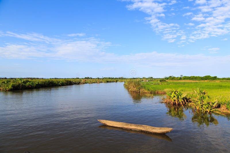 River running through a beautiful tropical green landscape on a