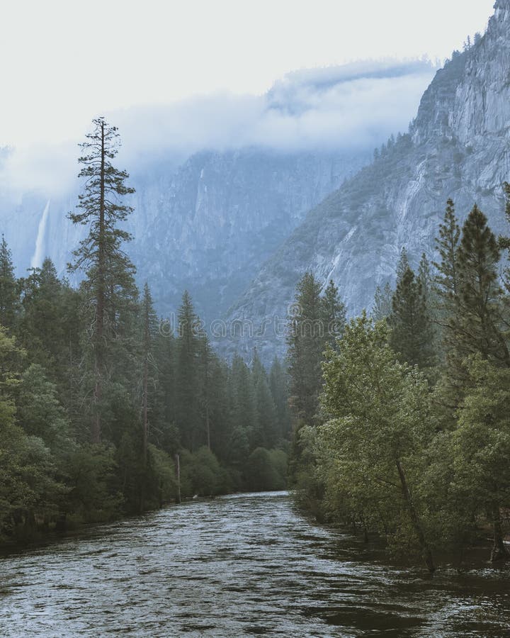 River running through pine tree forest with clouds passing over mountains in Yosemite National Park - Landscape Shot - Portrait Or stock photography