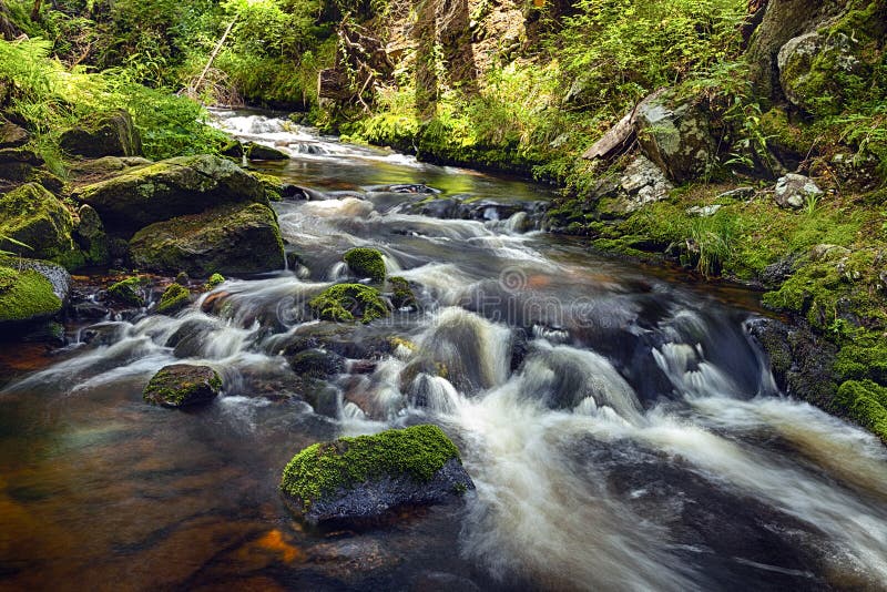 River runs over boulders in the forest