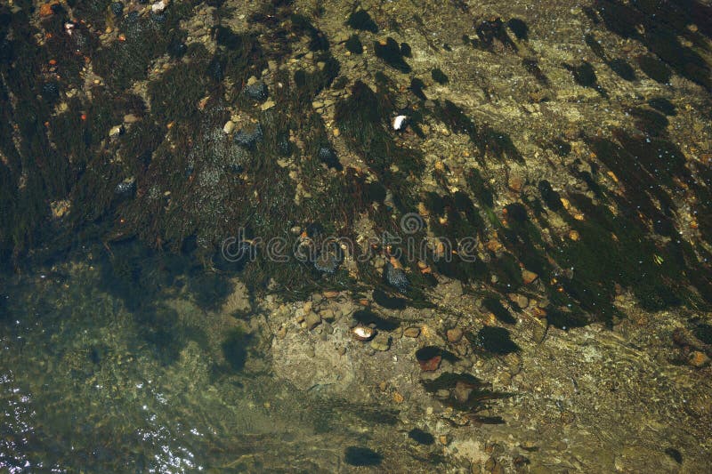 A river with shallow water royalty free stock photos