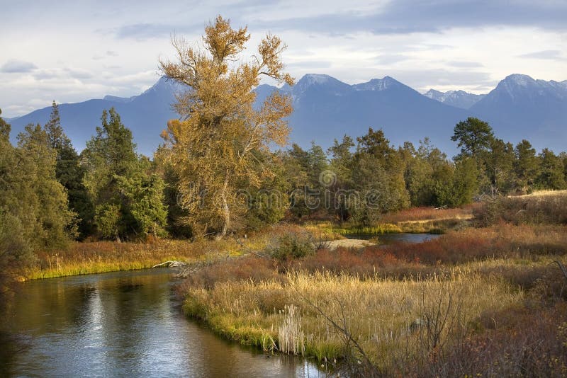 River Snow Mountains Fall Colors Montana Royalty Free Stock Images