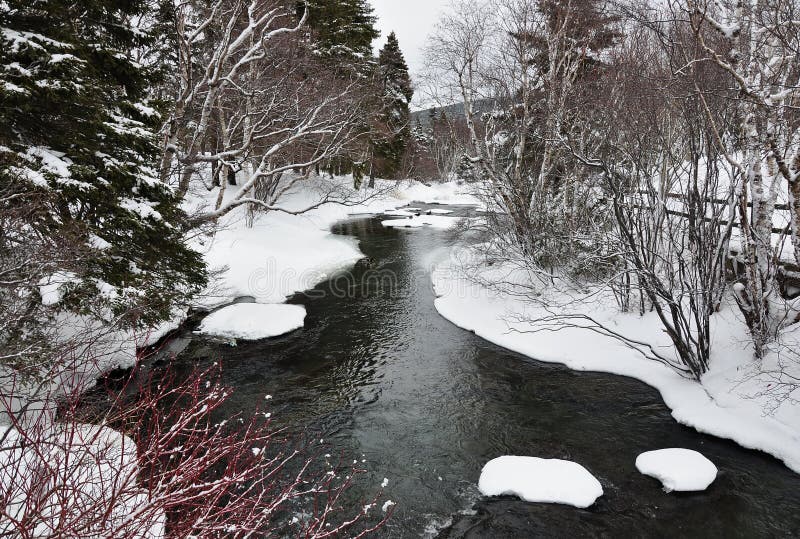 River in snowy forest