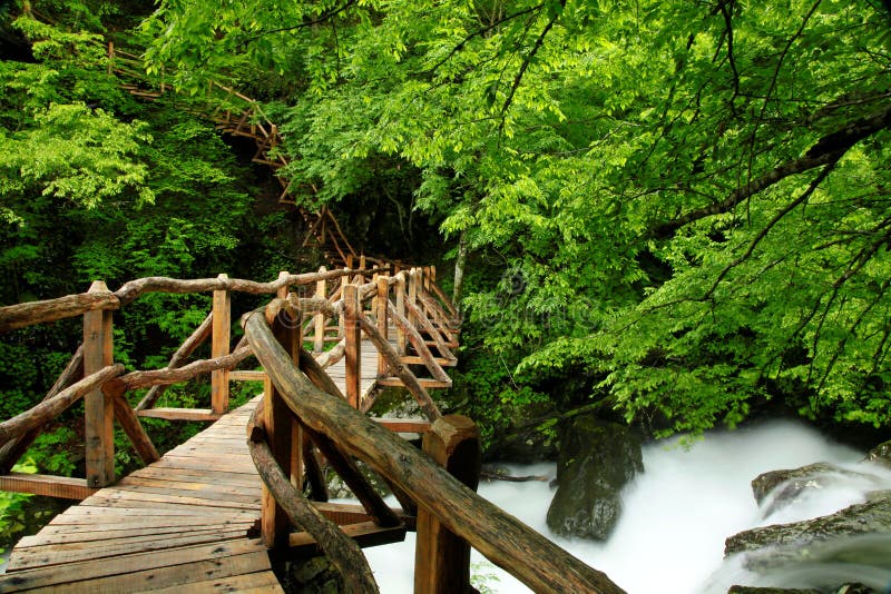 Weiß ein Fluss im frühjahr zentral(berg) 