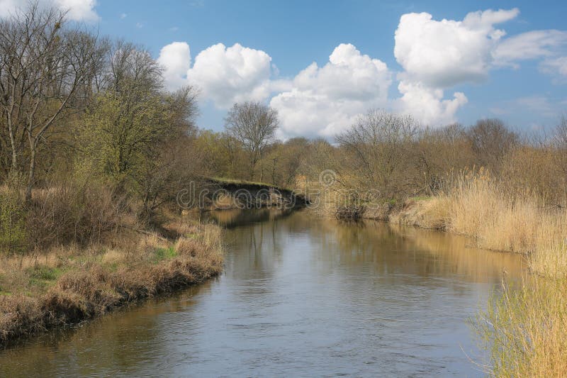 River in spring forest stock image