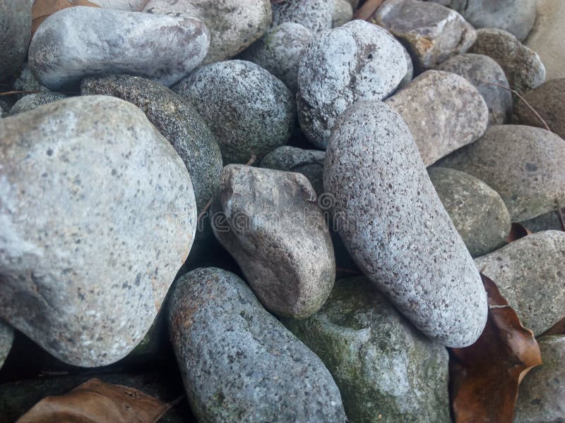 River Stone for Garden Decoration Home Stock Image Image of stone