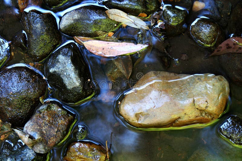 River Stones