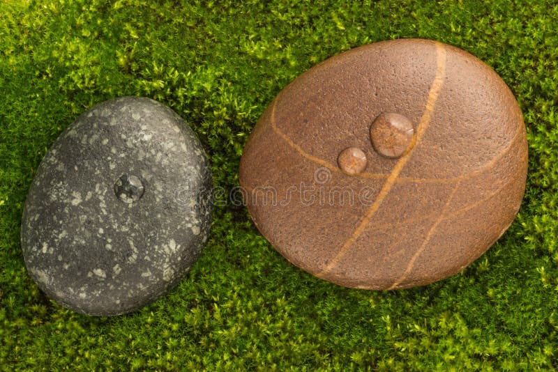 The River Stones spa treatment scene with raindrop on moss background zen like concepts. royalty free stock photography The River Stones spa treatment scene with raindrop on moss background zen like concepts. royalty free stock photography