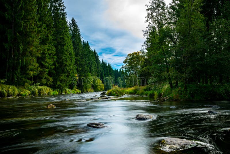 1,245,993 Forest River Stock Photos - Free & Royalty-Free Stock Photos from  Dreamstime