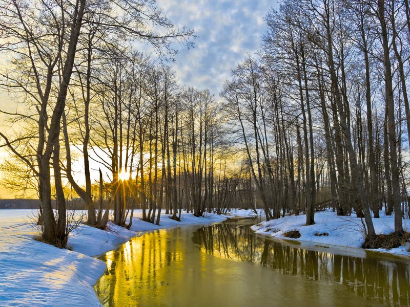 Yellow sunset in early spring