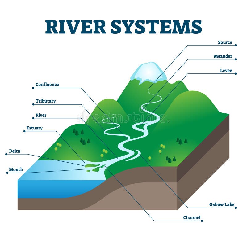 River systems and drainage basin educational structure vector illustration vector illustration