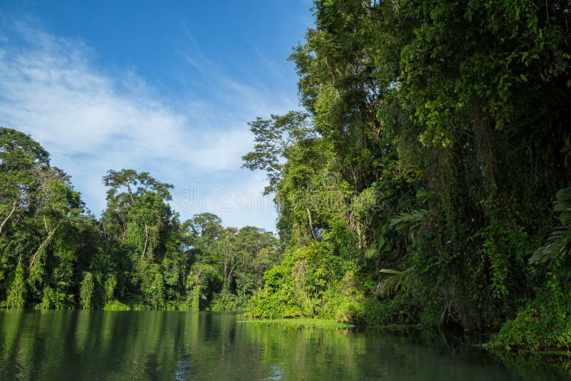 River trip in the jungle stock photography