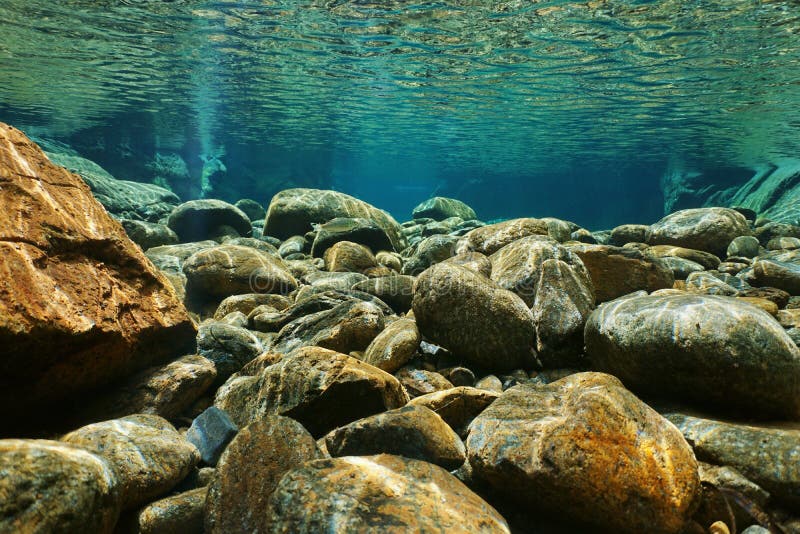 River underwater rocks riverbed clear water