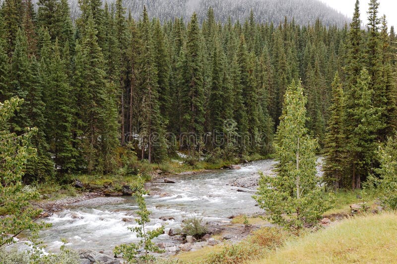 River valley in rain