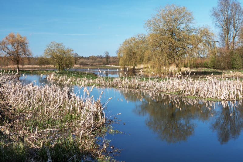 The River Wensum in Spring. Landscape view of the Wensum Valley. Mid Norfolk UK. A tributary of the River Wensum follows the lane to the Water Mill royalty free stock photos The River Wensum in Spring. Landscape view of the Wensum Valley. Mid Norfolk UK. A tributary of the River Wensum follows the lane to the Water Mill royalty free stock photos