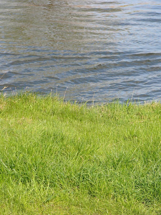 Download Riverbank stock image. Image of ripple, field, river, sunshine - 102305