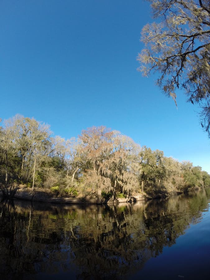 Riverbank stock image. Image of river, shore, riverbank 71723573