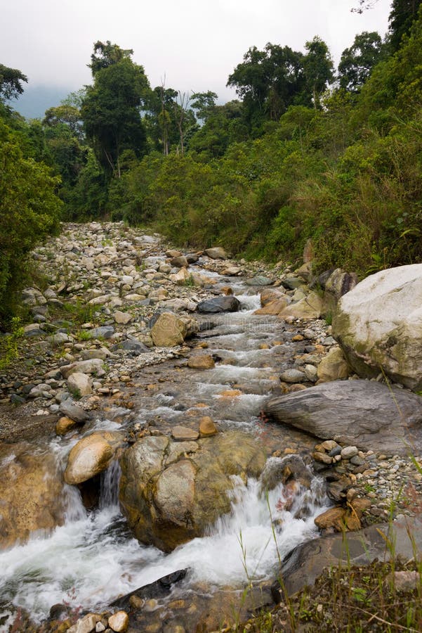 Riverbed in ruwenzori mountains