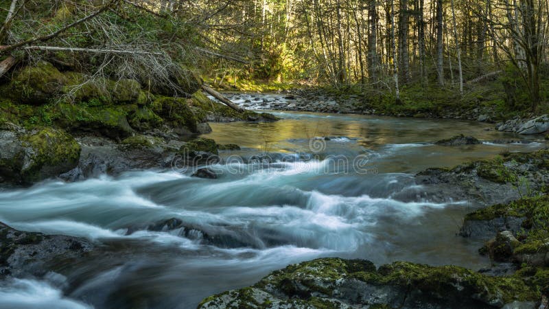 The free flowing North Fork of the Siletz River. Oregon Coast Range. The free flowing North Fork of the Siletz River. Oregon Coast Range.