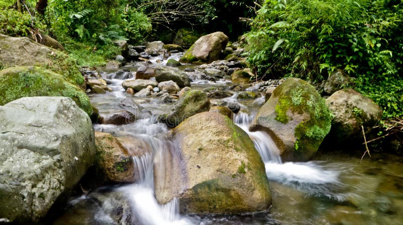 Beautiful nature river and forest, west java, Indonesia. stock photo