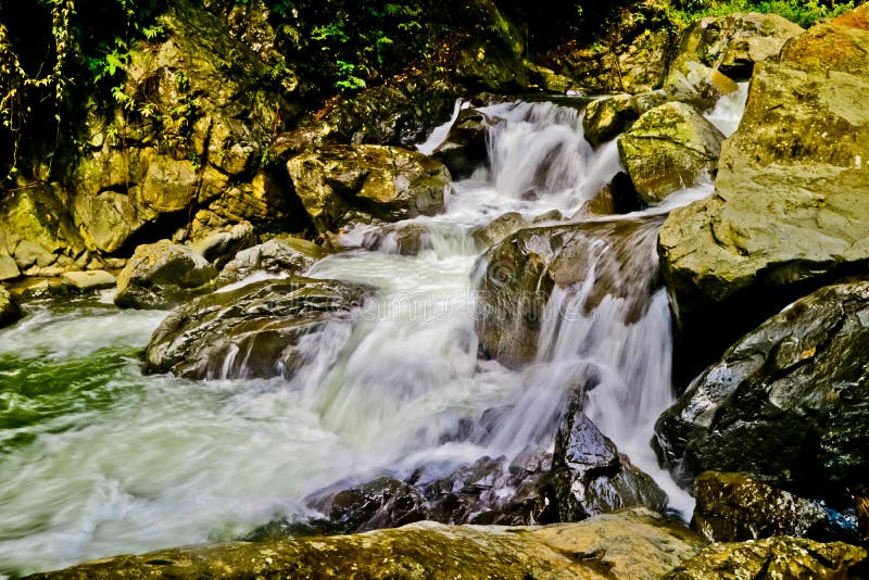 Beautiful nature river and forest, west java, Indonesia. royalty free stock images