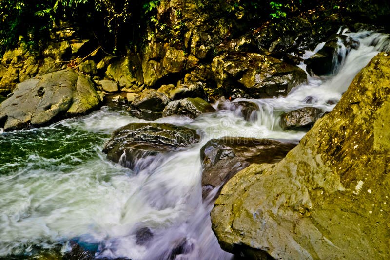 Beautiful nature river and forest, west java, Indonesia. stock image