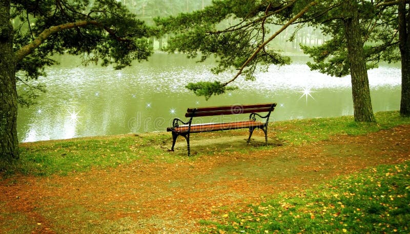Riverside bench