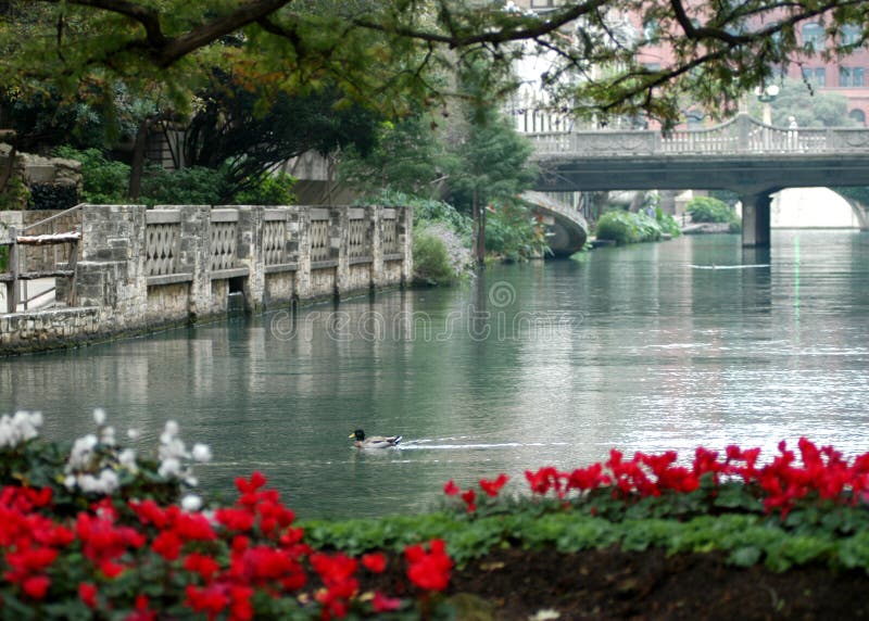 riverwalk ηρεμία στοκ φωτογραφία με δικαίωμα ελεύθερης χρήσης riverwalk ηρεμία στοκ φωτογραφία με δικαίωμα ελεύθερης χρήσης