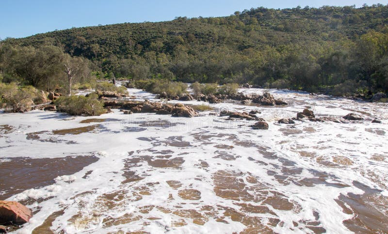 Rives et Rocky Bell Rapids luxuriants images libres de droits Rives et Rocky Bell Rapids luxuriants images libres de droits