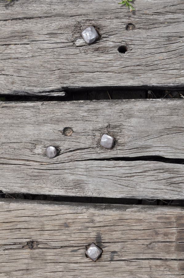 Rivet on old wooden