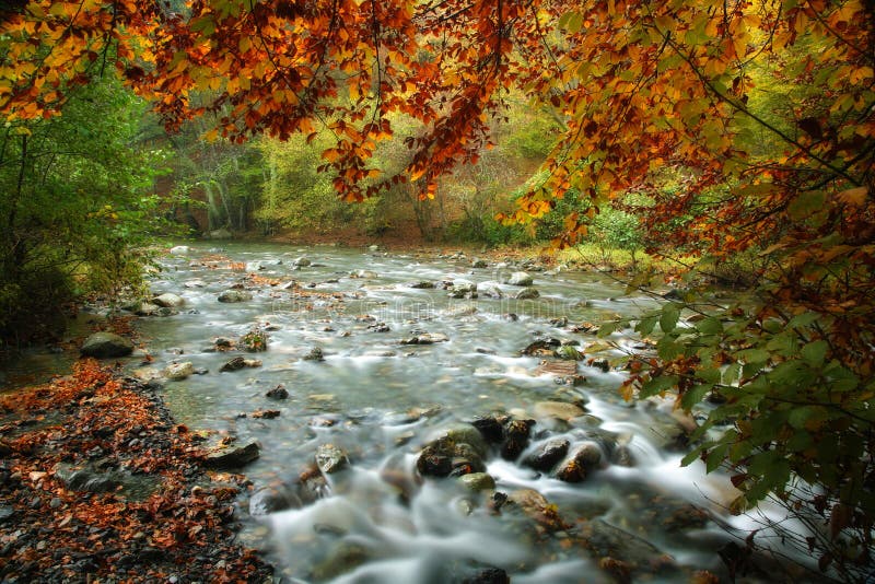 Rivier in de herfst stock afbeeldingen Rivier in de herfst stock afbeeldingen