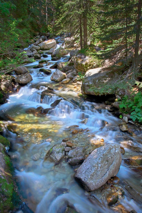 River Demjanica rushing through the forest in national park Pirin, Bulgaria. River Demjanica rushing through the forest in national park Pirin, Bulgaria