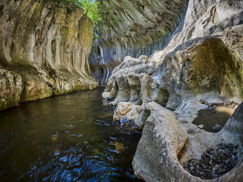 Rivier in een wilde kloof De Kloof van Cheilebanitei, Roemenië stock afbeelding Rivier in een wilde kloof De Kloof van Cheilebanitei, Roemenië stock afbeelding
