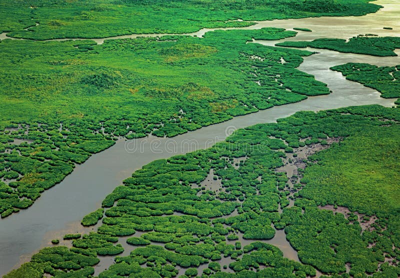 Rivier in het tropische bossatellietbeeld van de mangrove groene boom in Siargao-eiland, de Filippijnen royalty-vrije stock fotografie Rivier in het tropische bossatellietbeeld van de mangrove groene boom in Siargao-eiland, de Filippijnen royalty-vrije stock fotografie