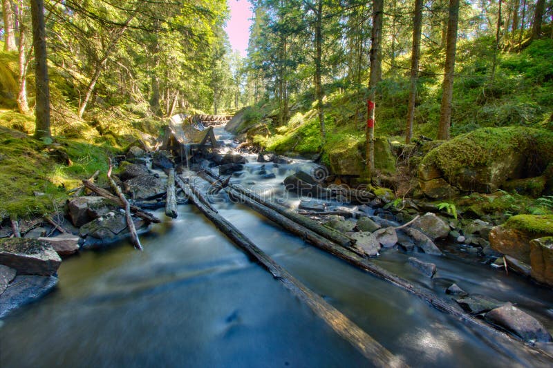 Rivier in de Zweedse bossen stock foto