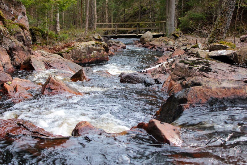 Rivier in het Zweedse landschap stock foto's