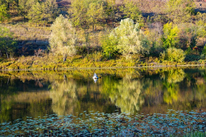 Riviervallei in het platteland royalty-vrije stock afbeeldingen
