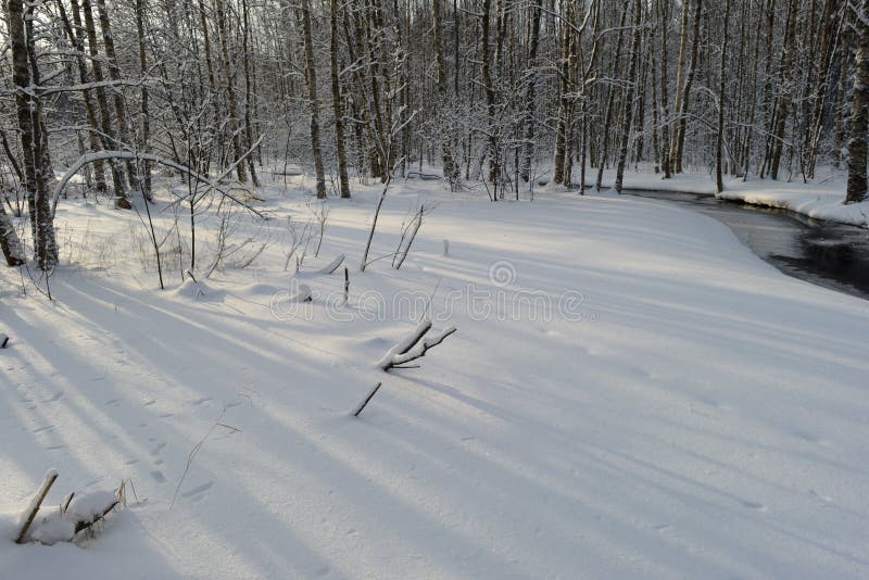 Rivière blanche de forêt de côte de neige avec des ombres des arbres pendant le début de la matinée photo libre de droits Rivière blanche de forêt de côte de neige avec des ombres des arbres pendant le début de la matinée photo libre de droits