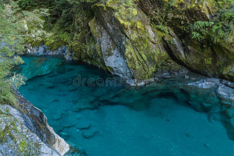 Rivière bleue à la voie bleue de piscines Île du sud, Nouvelle-Zélande La voie bleue de piscine est une promenade courte de la ro image libre de droits Rivière bleue à la voie bleue de piscines Île du sud, Nouvelle-Zélande La voie bleue de piscine est une promenade courte de la ro image libre de droits