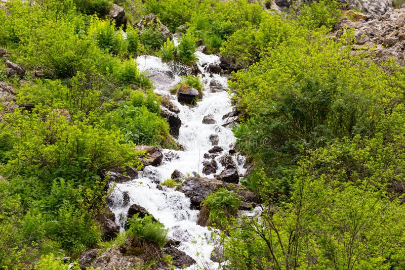Rivière dans les montagnes de Tian Shan au printemps photographie stock Rivière dans les montagnes de Tian Shan au printemps photographie stock