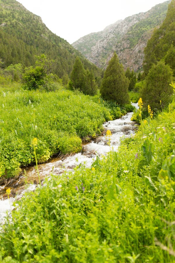 Rivière dans les montagnes de Tian Shan au printemps images libres de droits Rivière dans les montagnes de Tian Shan au printemps images libres de droits