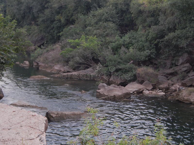 Rivière de Jamjir dans JAMWALA GIR image stock Rivière de Jamjir dans JAMWALA GIR image stock