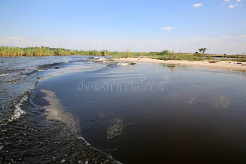 Rivière de Kwando image stock