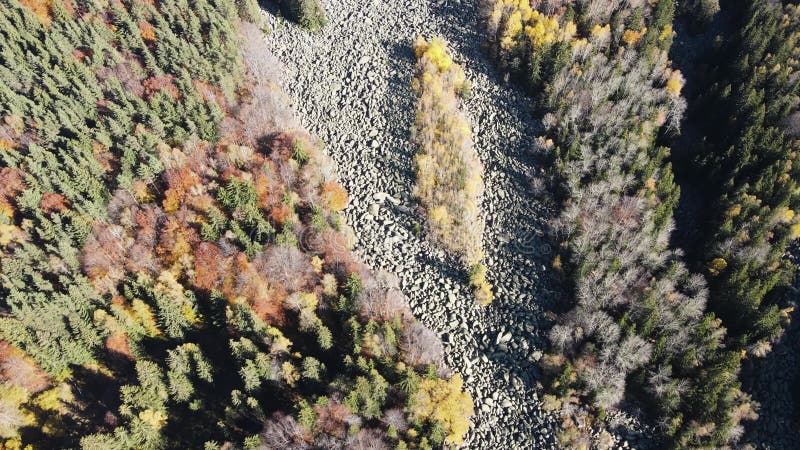 Rivière de pierre connue sous le nom de Zlatnite Mostove à Vitosha Mountain Bulgarie banque de vidéos